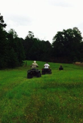 Four wheelers in big pasture