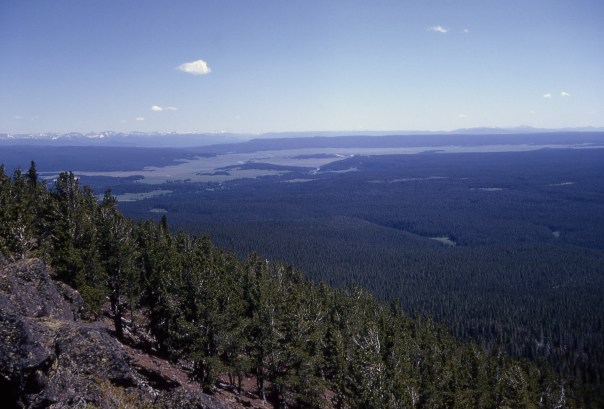 Hayden Valley, Yellowstone.jpg