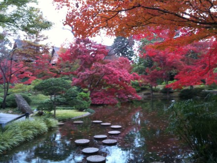 japanese-gardens-trees-and-pond