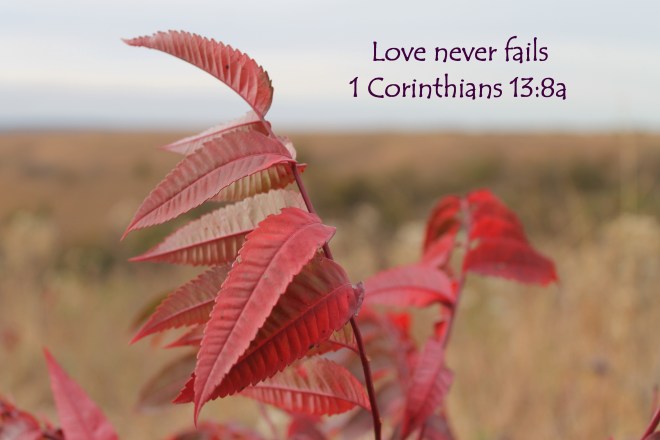 Love Never Fails.jpg