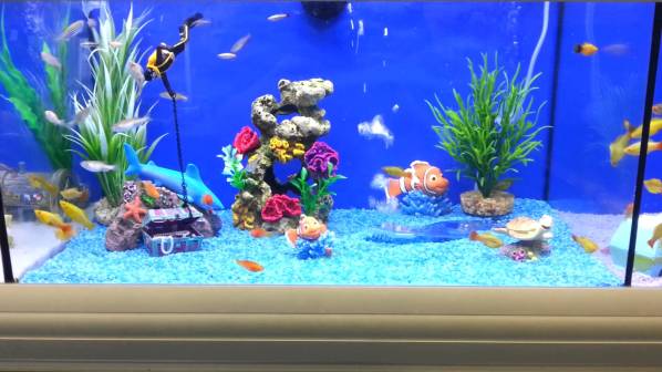 fish tank two