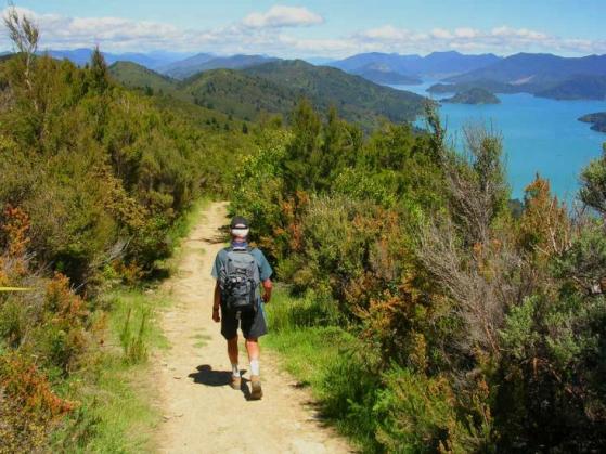 New Zealand trails