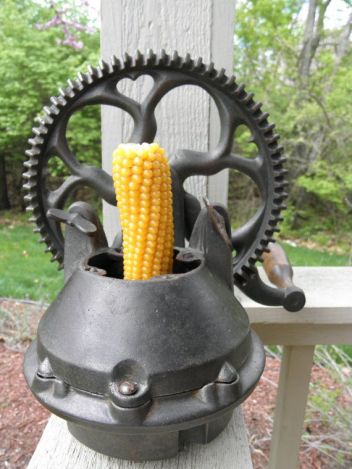 corn 1877