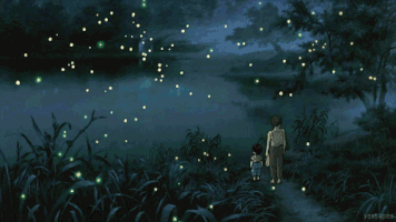 Walking with fireflies