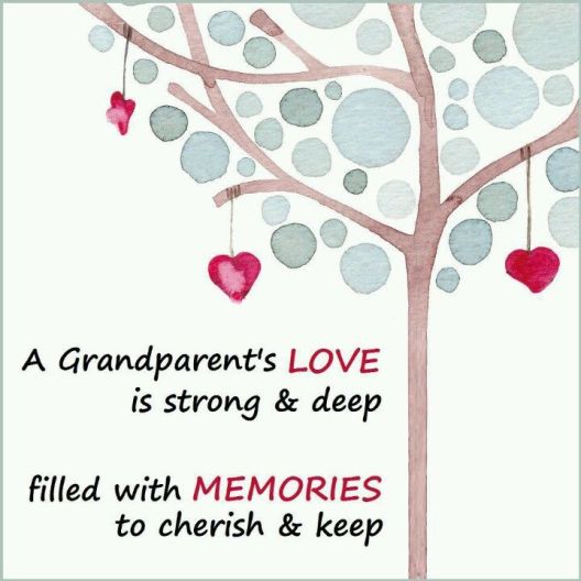 Grandparent's love